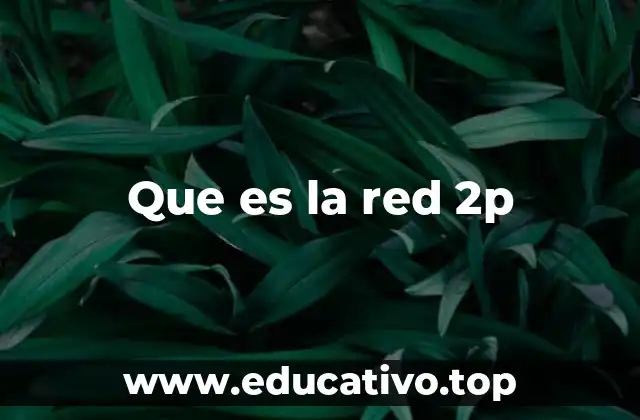 Que es la red 2p