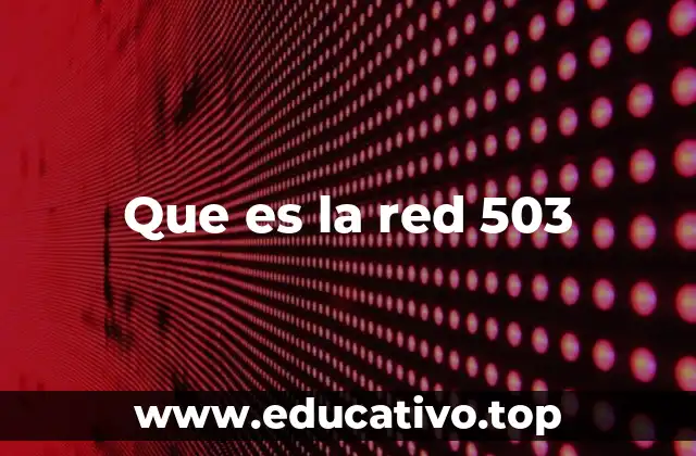 Que es la red 503