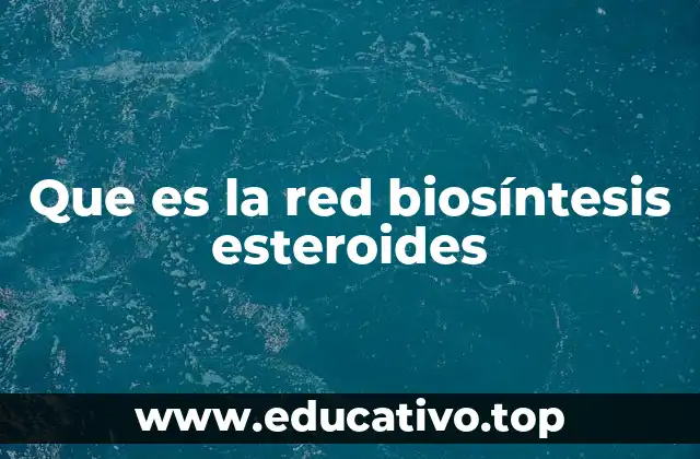 Que es la red biosíntesis esteroides