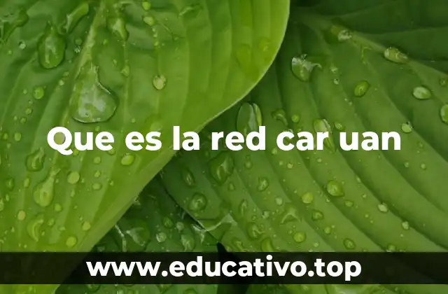 Que es la red car uan