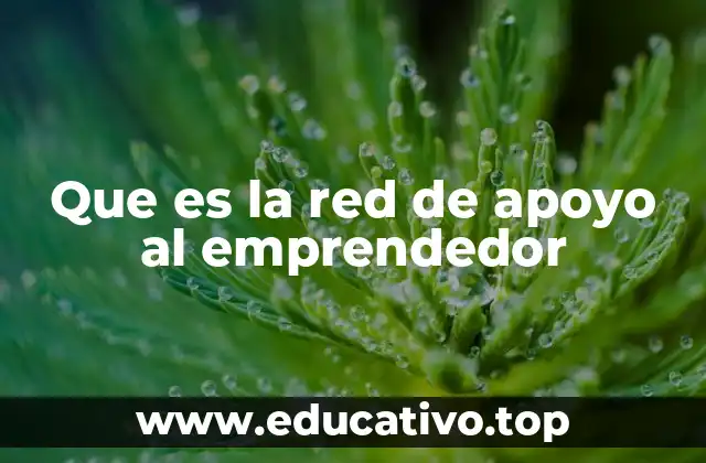 Que es la red de apoyo al emprendedor
