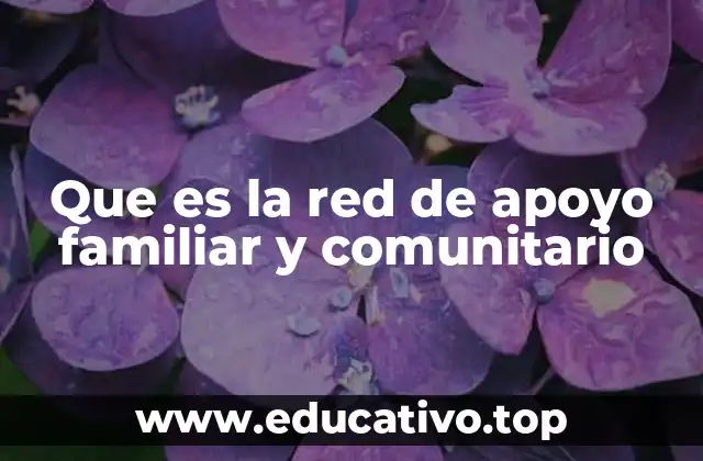 Que es la red de apoyo familiar y comunitario