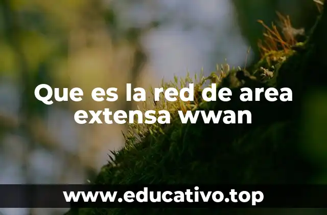 Que es la red de area extensa wwan