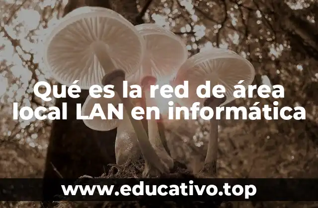 Qué es la red de área local LAN en informática