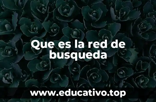 Que es la red de busqueda