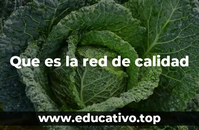Que es la red de calidad