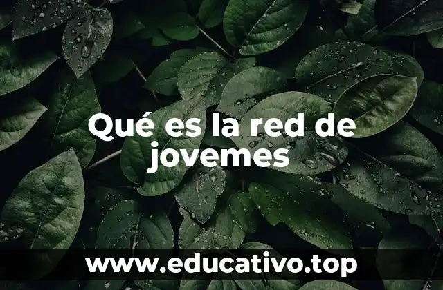 Qué es la red de jovemes