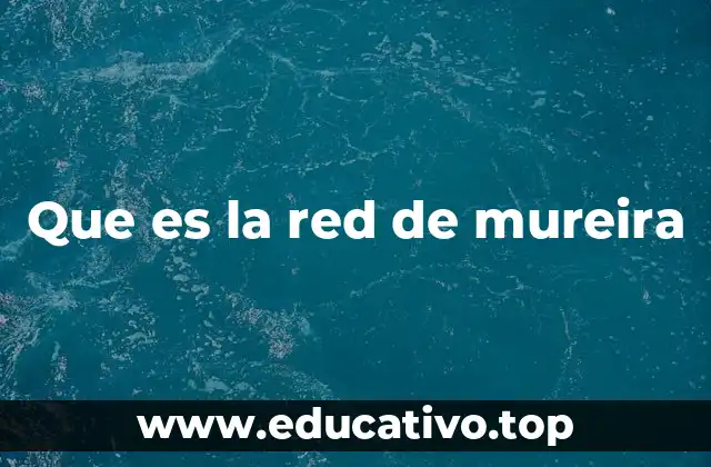Que es la red de mureira