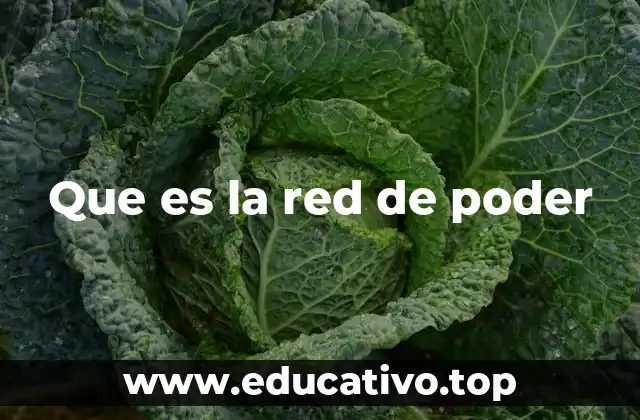 Que es la red de poder