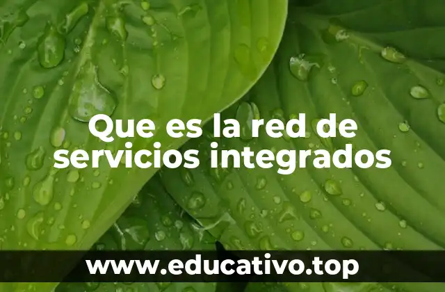 Que es la red de servicios integrados