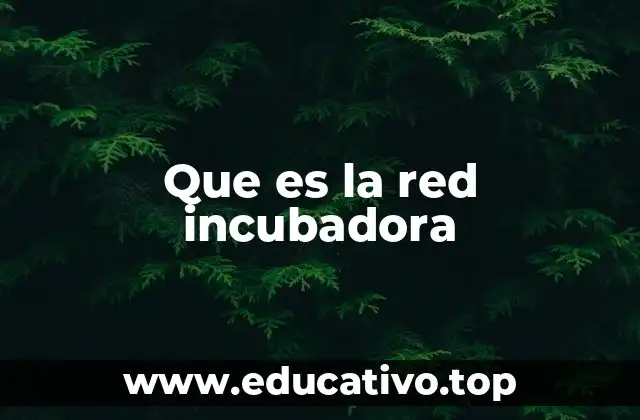 Que es la red incubadora