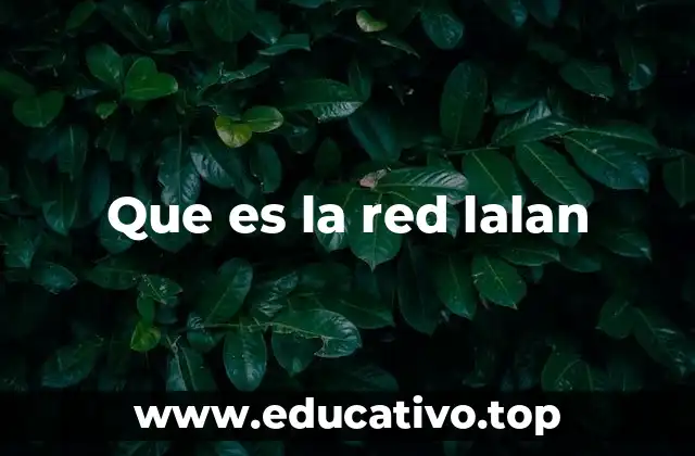 Que es la red lalan