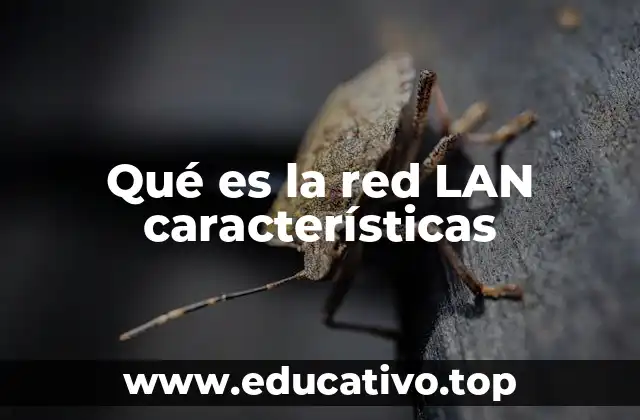 Qué es la red LAN características