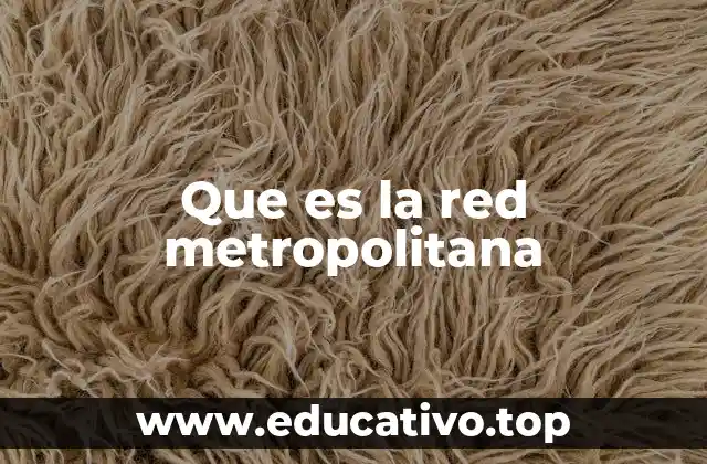 Que es la red metropolitana