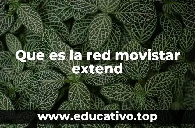 Que es la red movistar extend