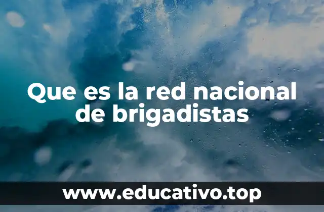 Que es la red nacional de brigadistas