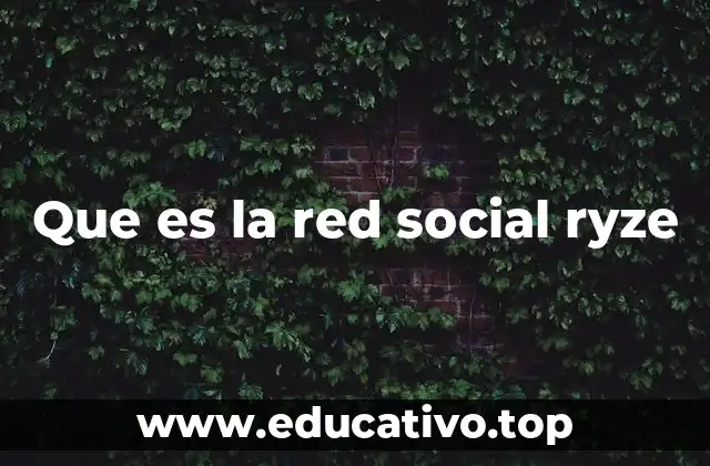Que es la red social ryze