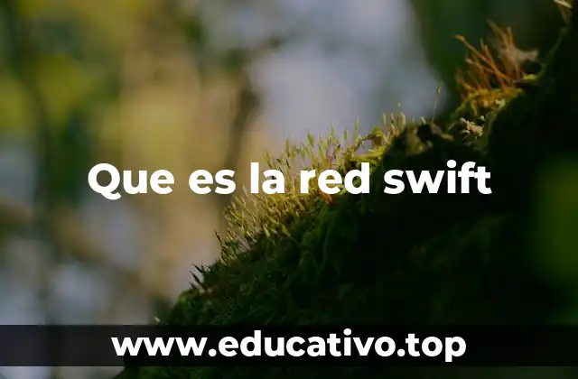 Que es la red swift
