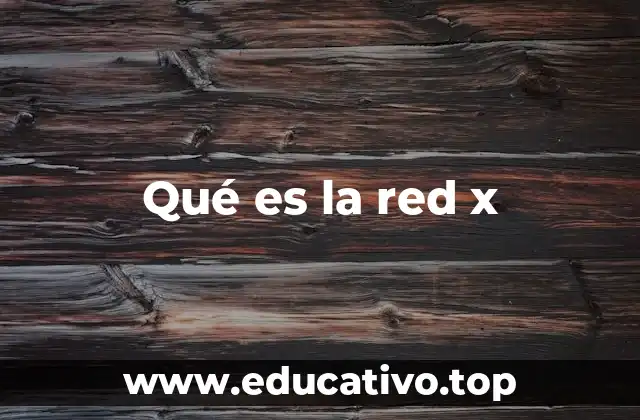 Qué es la red x