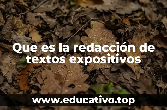 Que es la redacción de textos expositivos