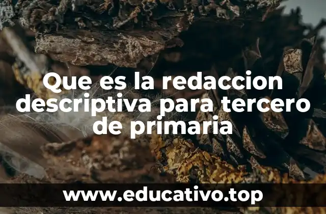 Que es la redaccion descriptiva para tercero de primaria