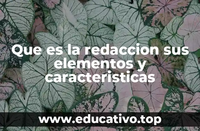 Que es la redaccion sus elementos y caracteristicas