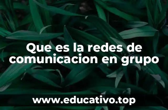 La importancia de las estructuras de interacción en comunidades sociales