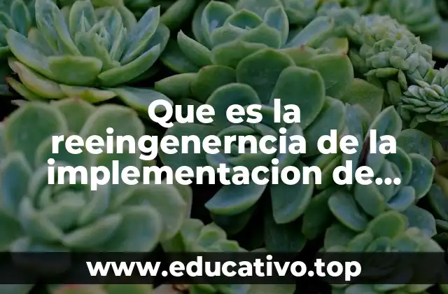 Que es la reeingenerncia de la implementacion de proyecto