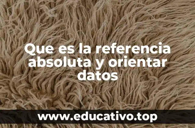 Que es la referencia absoluta y orientar datos