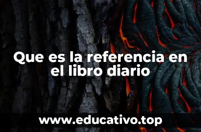 Que es la referencia en el libro diario