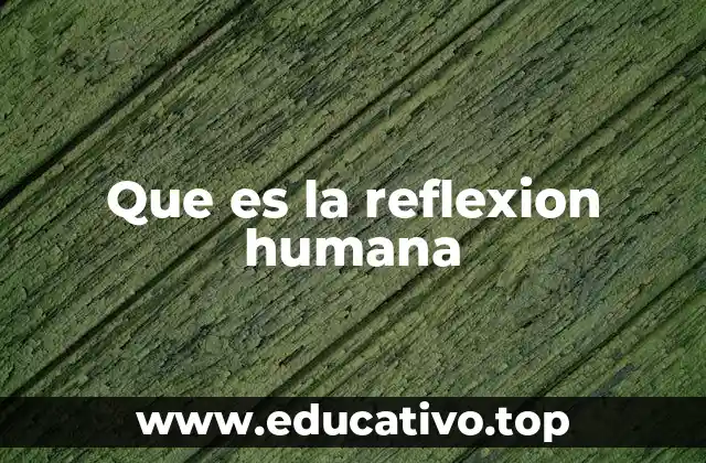 Que es la reflexion humana