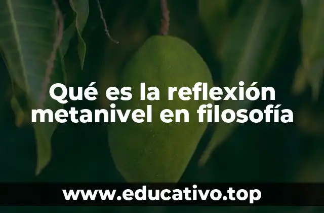 Qué es la reflexión metanivel en filosofía