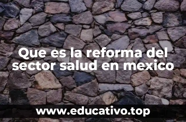 Que es la reforma del sector salud en mexico