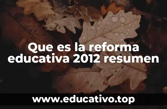 Que es la reforma educativa 2012 resumen
