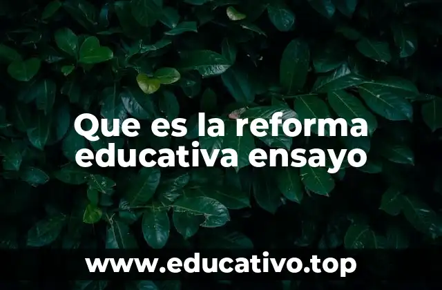 Que es la reforma educativa ensayo