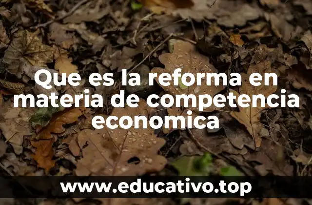 Que es la reforma en materia de competencia economica