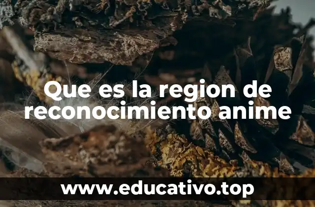 El impacto de la región de reconocimiento en el disfrute del anime