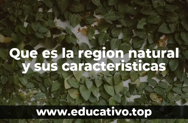 Que es la region natural y sus caracteristicas
