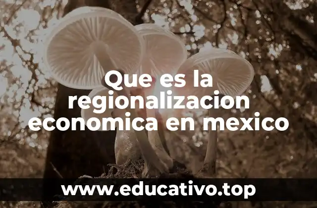 Que es la regionalizacion economica en mexico