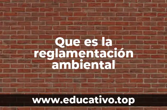 Que es la reglamentación ambiental