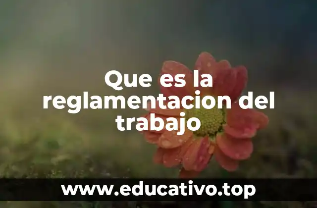 Que es la reglamentacion del trabajo