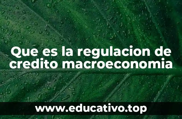 El papel de la regulación en la estabilidad del sistema financiero