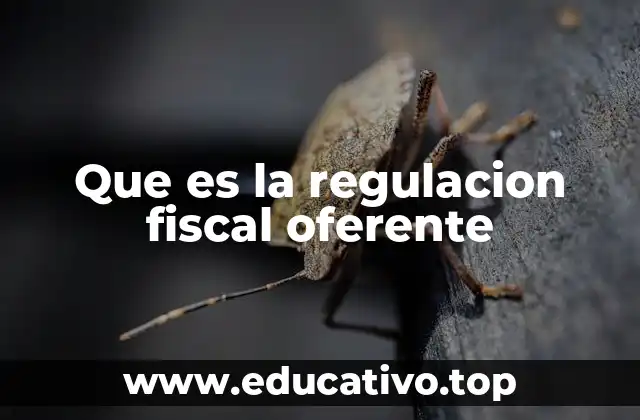 Que es la regulacion fiscal oferente