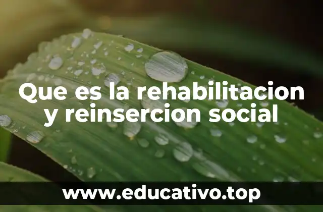 Que es la rehabilitacion y reinsercion social