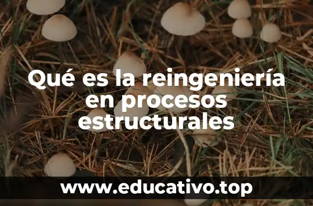Qué es la reingeniería en procesos estructurales