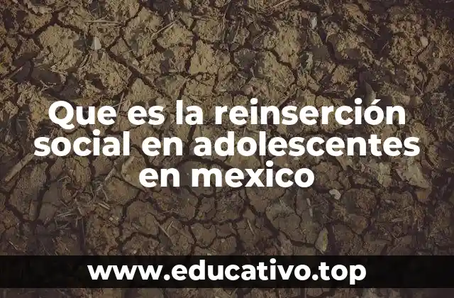 Que es la reinserción social en adolescentes en mexico