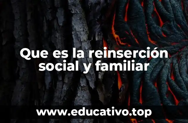 Que es la reinserción social y familiar