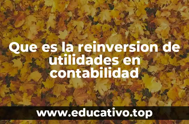 Que es la reinversion de utilidades en contabilidad