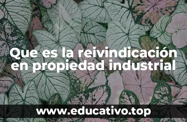 Que es la reivindicación en propiedad industrial