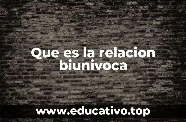 Que es la relacion biunivoca